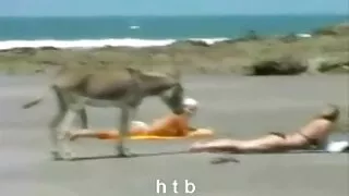 ეს ცხელი ნაშა იღებს ყლე ერთი ხედი