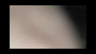 თავბრუდამხვევი, თესლი, ახალგაზრდა chick